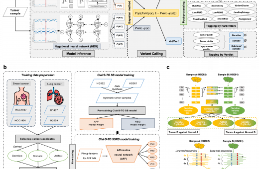 港大工程研究團隊研嶄新深度學習算法　革新癌症診斷及基因組學研究 